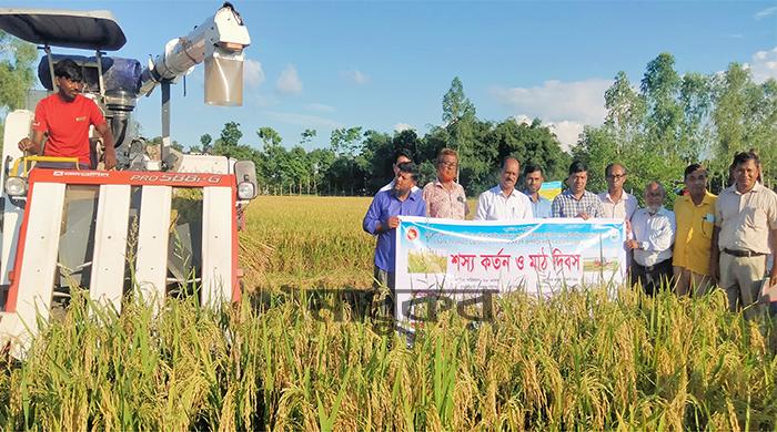 সুন্দরগঞ্জে আউশ ধানের শস্য কর্তন ও মাঠ দিবস