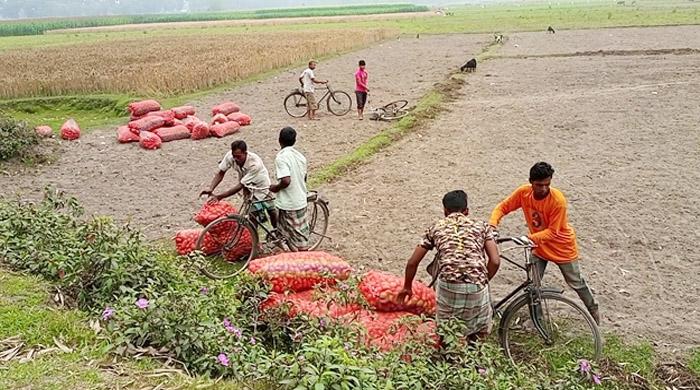 সীমান্ত দিয়ে অবৈধভাবে ঢুকছে ভারতীয় আলু