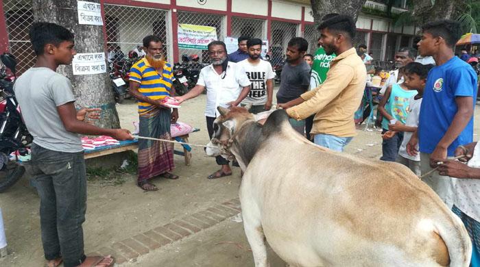 গাইবান্ধা মর্ডান হাইস্কুল এ পশুর হাটেই চামড়ার অপচয় রোধে ও গরুর ক্ষুদা নিবারনে লবণ বিক্রি