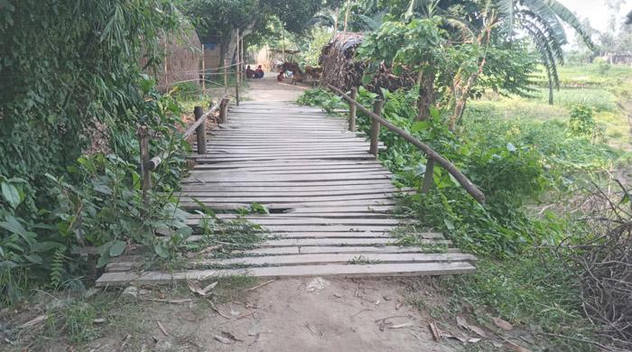 পলাশবাড়ীতে চলাচলের একমাত্র ভরসা কাঠের সাকো