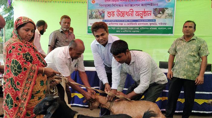 ফুলছড়িতে বিনামূল্যে পিপিআর ভ্যাক্সিনেশন ক্যাম্পেইনের উদ্বোধন