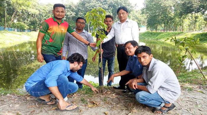 ফুলবাড়ীতে গ্রীন ভয়েসের বৃক্ষরোপণ